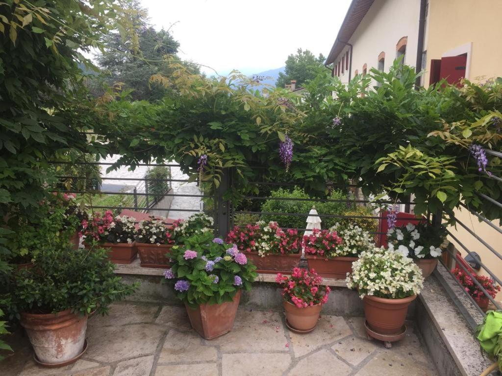 La Casa Del Glicine 호텔 Tarzo 외부 사진